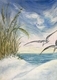 Against the Wind Renee Bruce