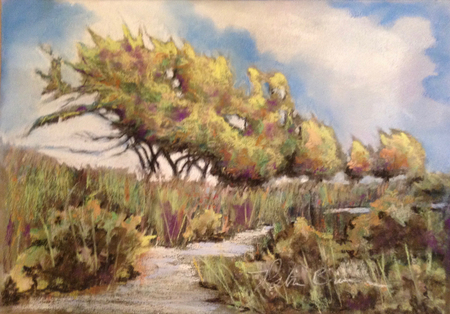 Patricia Brinson - "Beach Brush"