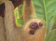 Susan Selvey-"You Woke Me Up"